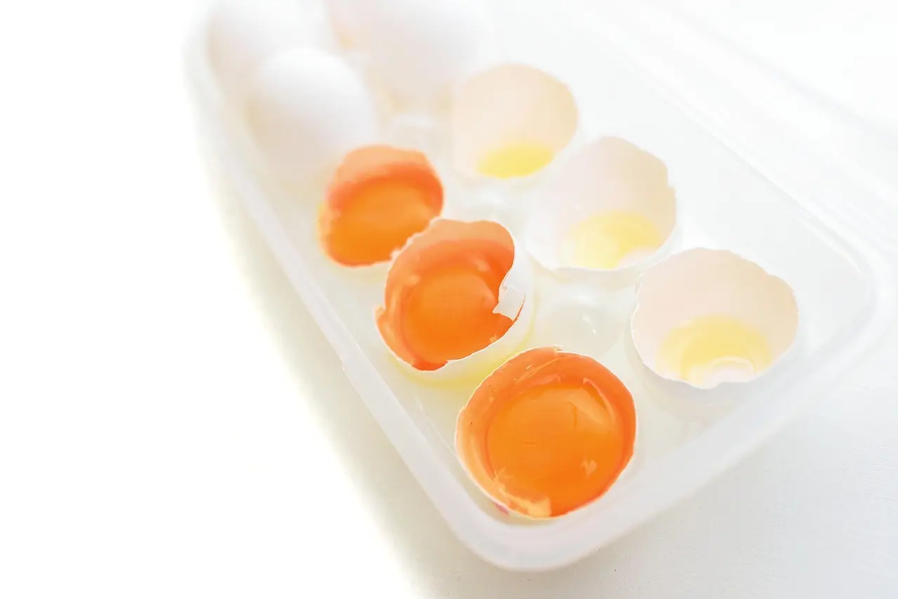 9 kolinrige fødevarer, du kan finde i Danmark