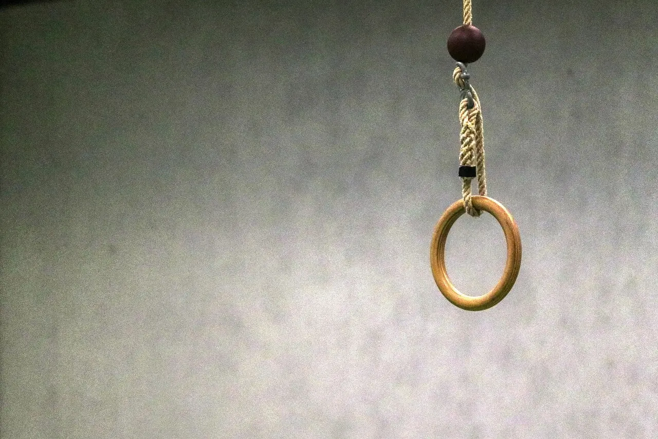 Træ- eller plastringe: hvad er bedst til hjemmebrug?