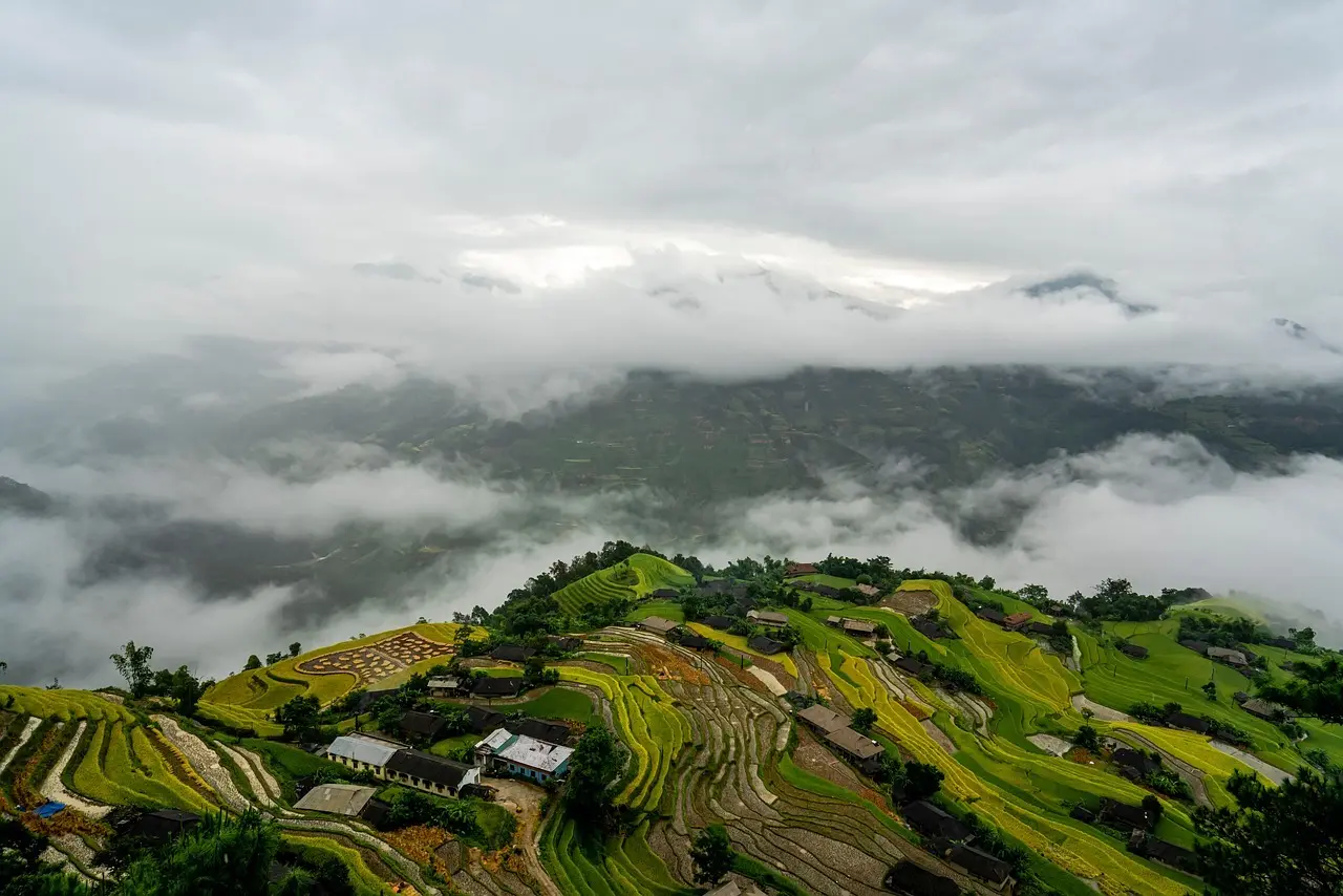 5 kompakte stepbænke til hjemmetræning i små rum