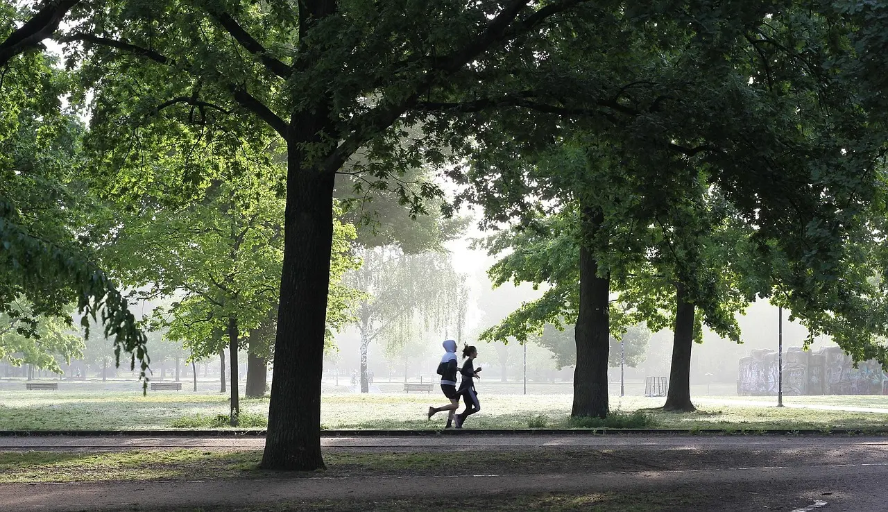 To personer løber sammen på en sti i en grøn park