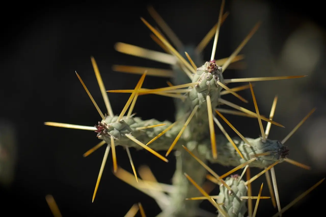 Pigsåler til vinterløb: sådan finder du den rette pasform