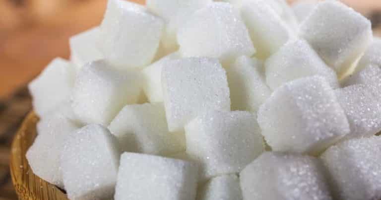 Sukker – Hvordan reagerer din krop på det?